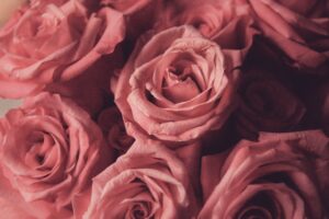 Kwiaty online róże